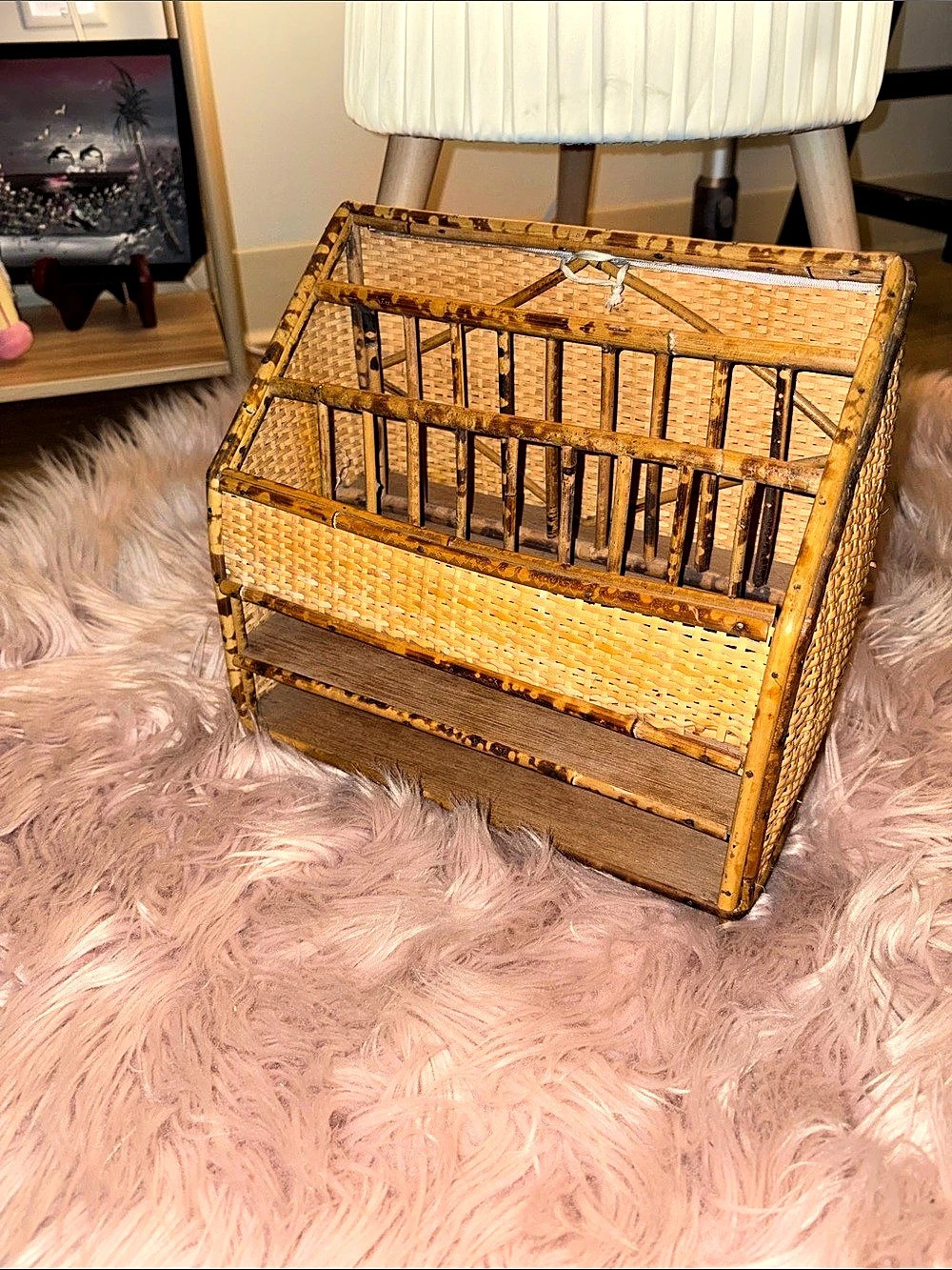 Woven Rattan Basket Organizer in Brown